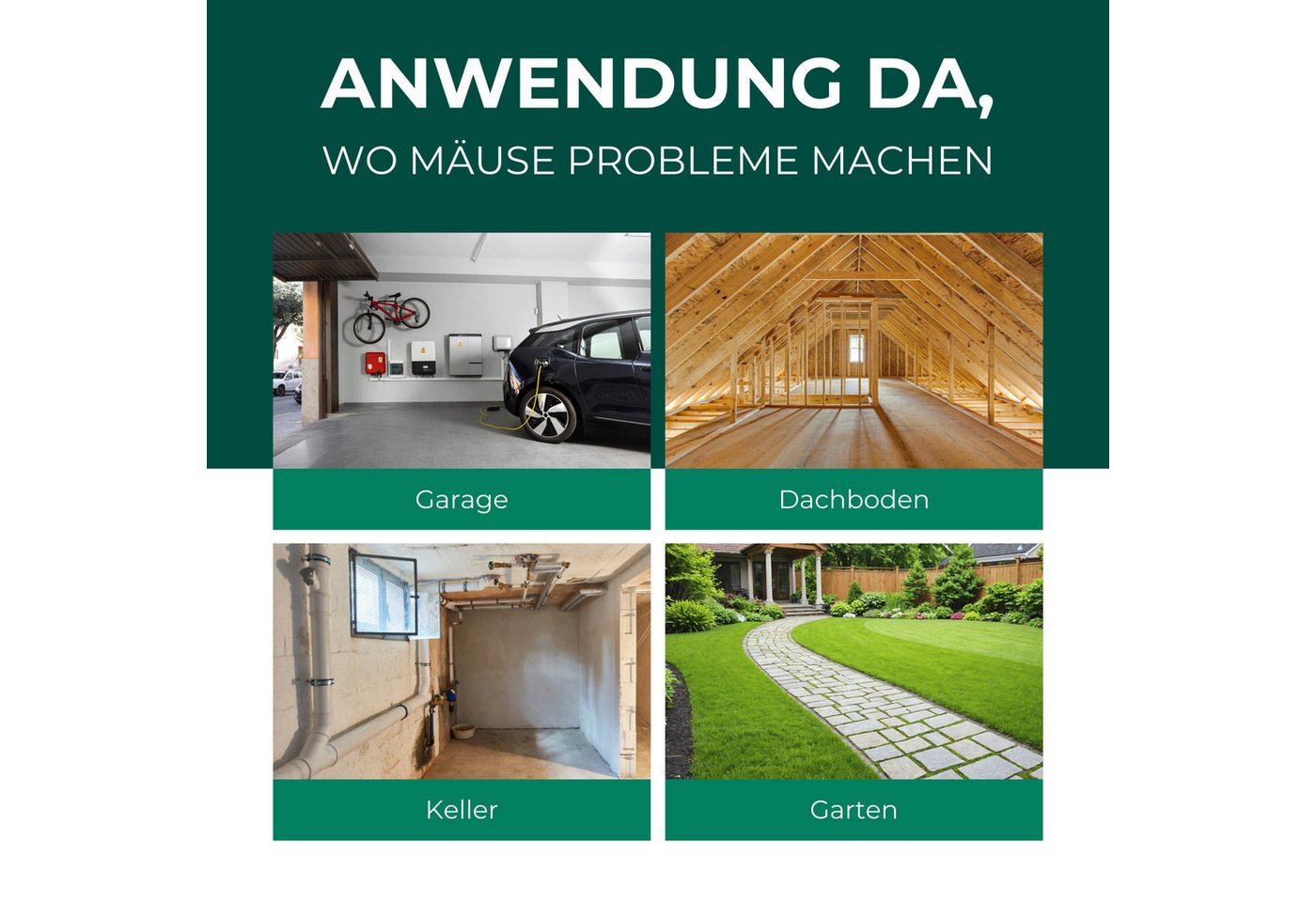 Silberkraft Vergrämungsmittel Silberkraft Mäuseabwehr, Repellent gegen Mäusebefall, 500 ml, 1-St., Mäuseabwehr für Haus & Garten, wirksame Alternative zu Gift & – Bild 4 von 5
