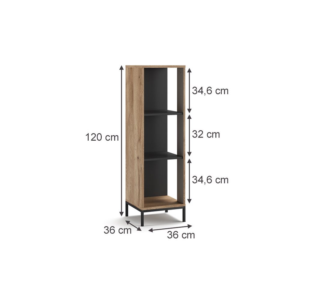 Vicco Bücherregal Eliza, Viking Oak, 36 x 120 cm mit 3 Fächern, 1-tlg. – Bild 3 von 5