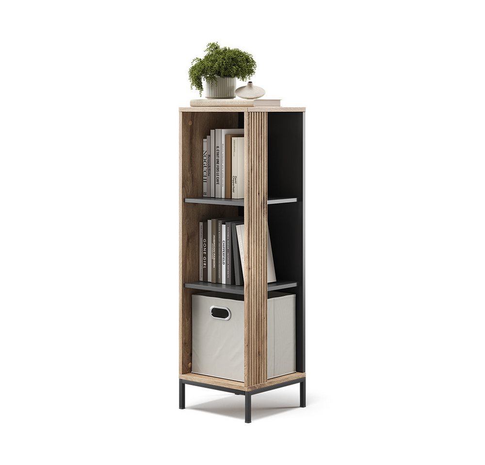 Vicco Bücherregal Eliza, Viking Oak, 36 x 120 cm mit 3 Fächern, 1-tlg. – Bild 5 von 5