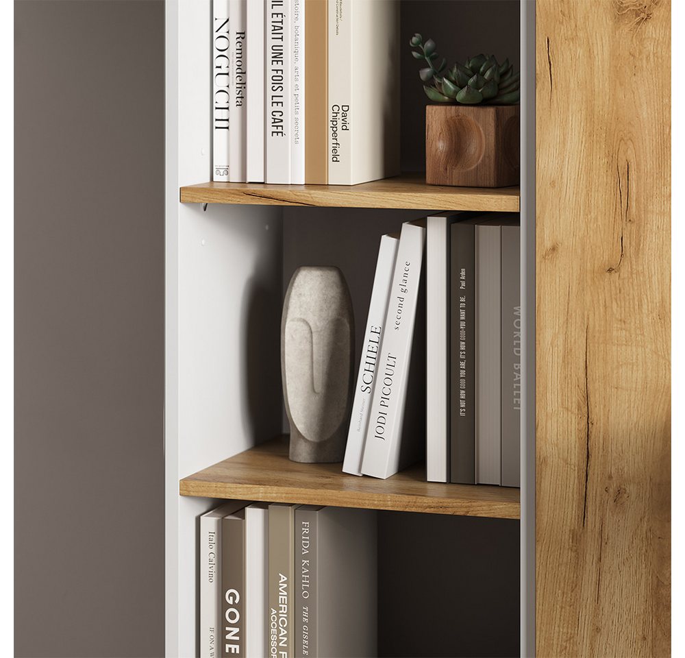 Vicco Bücherregal Tomy, Weiß/Goldkraft Eiche, 40 x 120 cm,4 Fächer, 1-tlg. – Bild 4 von 5