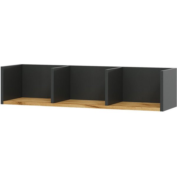 Vicco Bücherregal Tomy, Anthrazit/Goldkraft Eiche, 90 x 20 cm, 1-tlg.