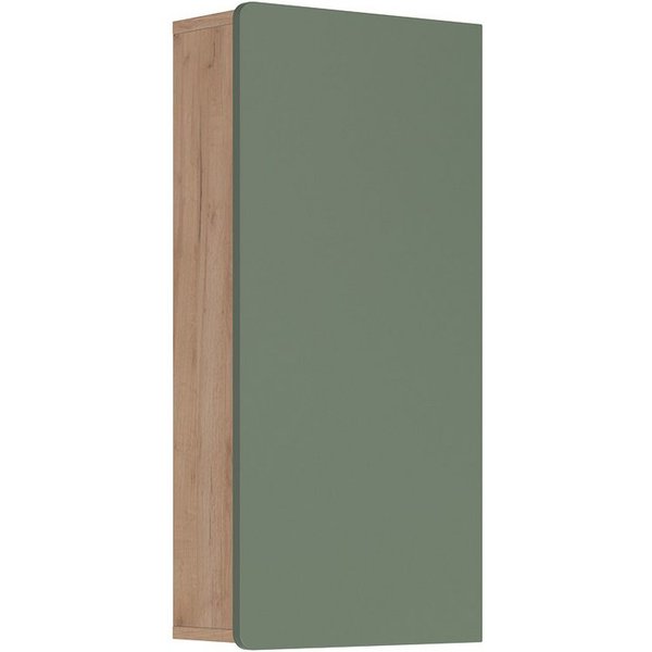 Vicco Hängeschrank Izan, Goldkraft Eiche/Grün, (1-St)