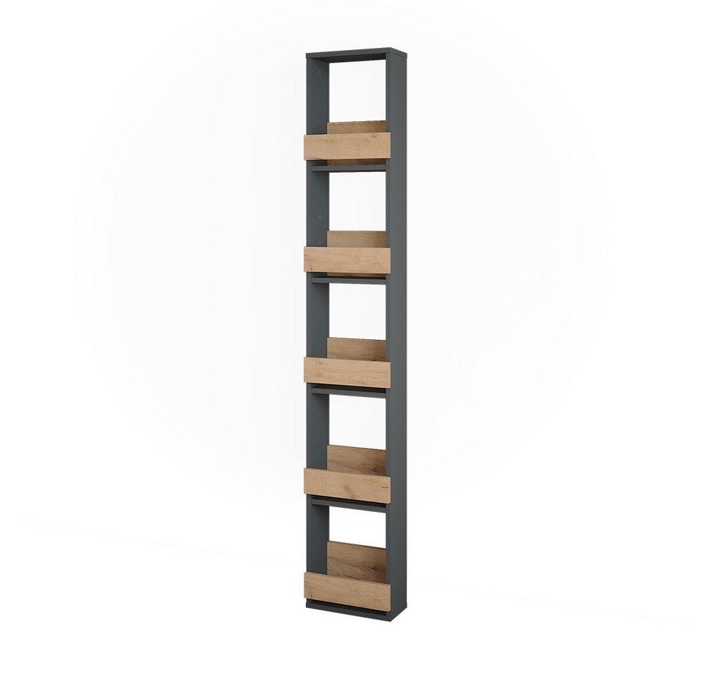 Vicco Weinregal Repose, Goldkraft Eiche/Anthrazit, 30 x 180 cm, 1-tlg. – Bild 2 von 5