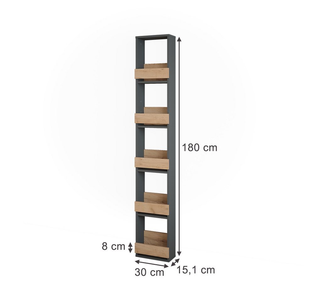 Vicco Weinregal Repose, Goldkraft Eiche/Anthrazit, 30 x 180 cm, 1-tlg. – Bild 3 von 5