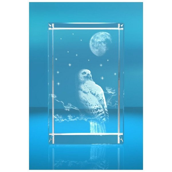 VIP-LASER Dekofigur 3D Glasquader Motiv: Eule, Hochwertige Geschenkbox, Made in Germany, Familienbetrieb