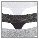 Vivance by Lascana String (3er-Pack) aus elastischer Baumwolle mit floraler Spitze – Bild 5 von 5