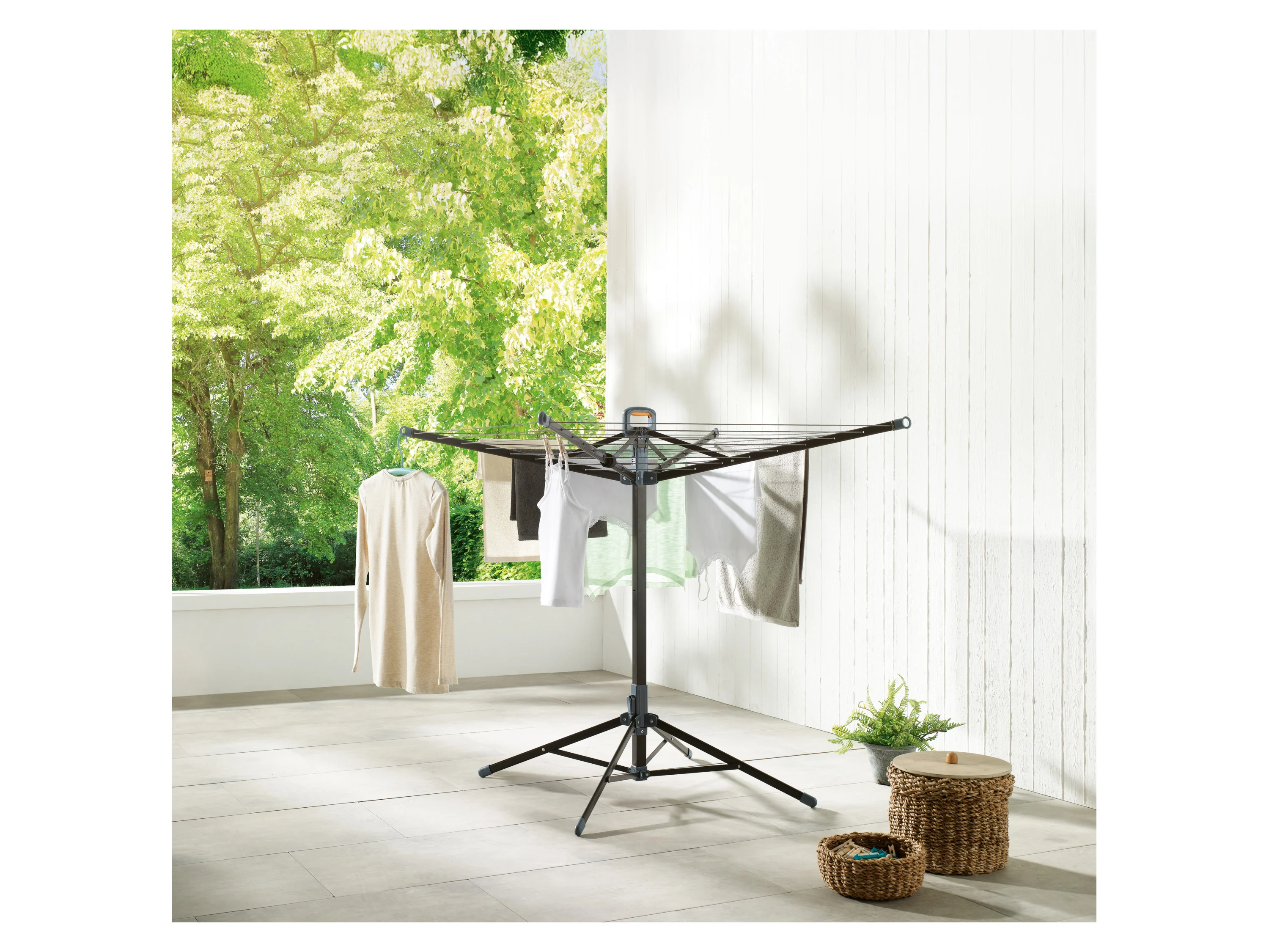 W5 Standwäschespinne – Bild 2 von 4