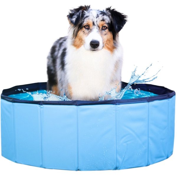 Wahre Tierliebe Hundepool