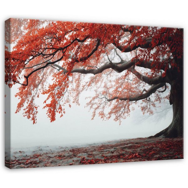 Wallarena Leinwandbild Baum Nebel - Orange - Modern - Wohnzimmer, Baum, 40x30x2cm