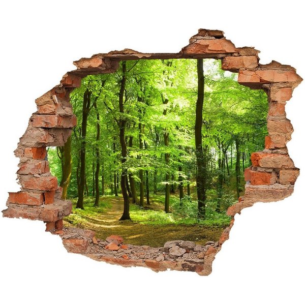 WallSpirit Wandtattoo Wanddurchbruch "Wald", Selbstklebend, rückstandslos abziehbar