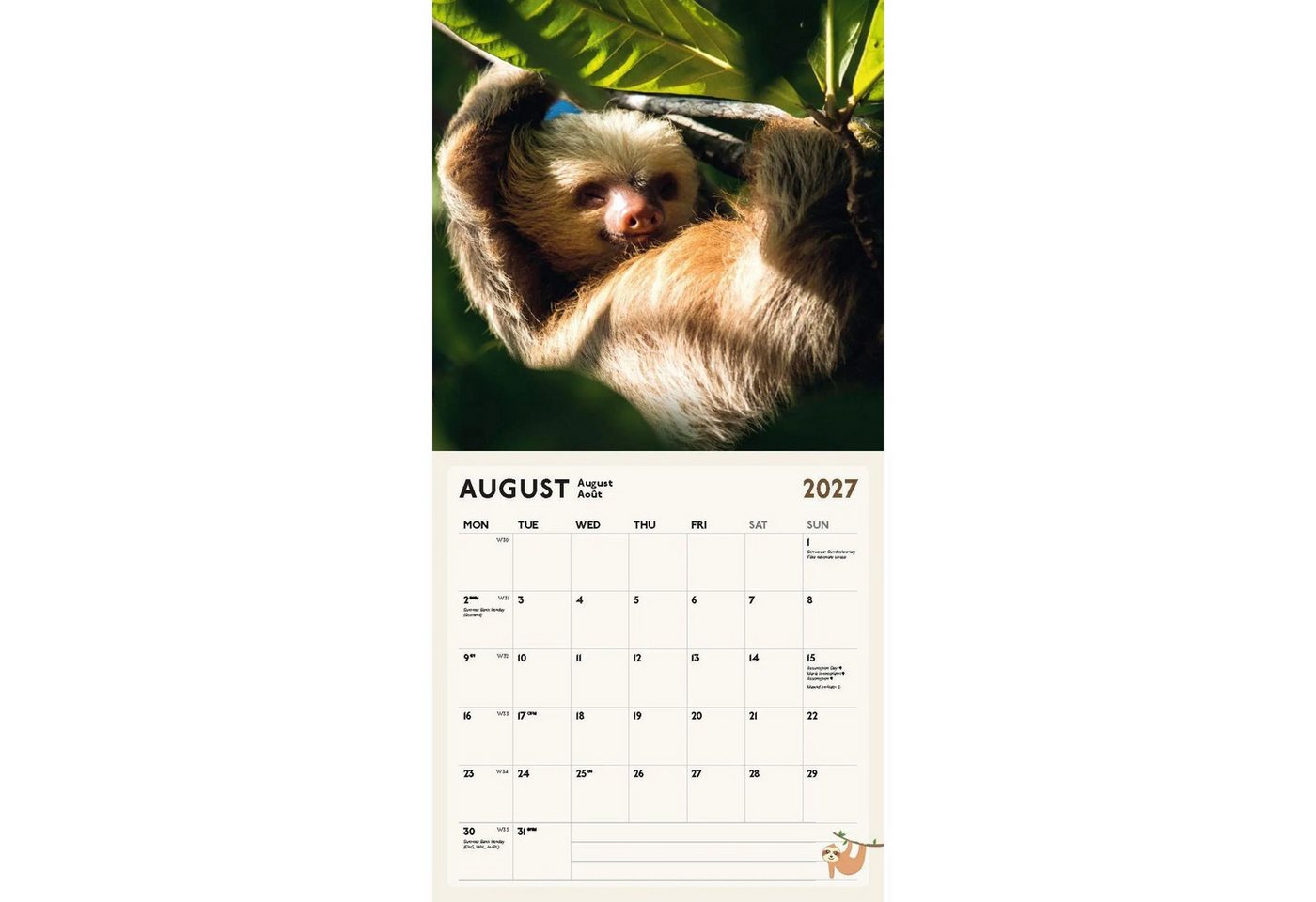 Wandkalender Faultier Kalender 2027 – Bild 3 von 5