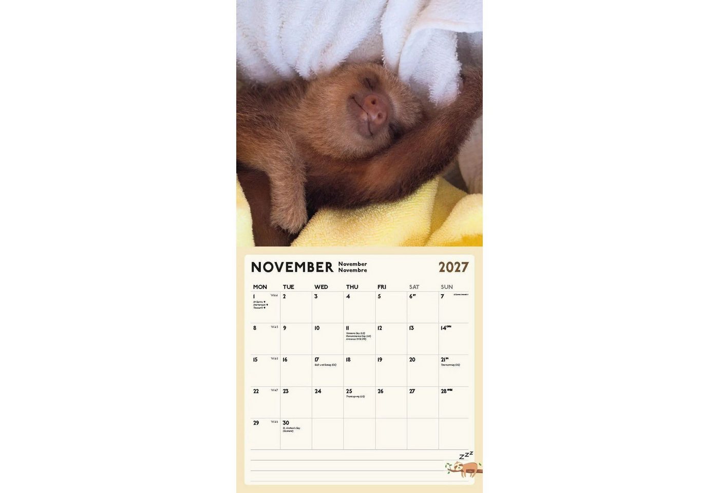 Wandkalender Faultier Kalender 2027 – Bild 5 von 5