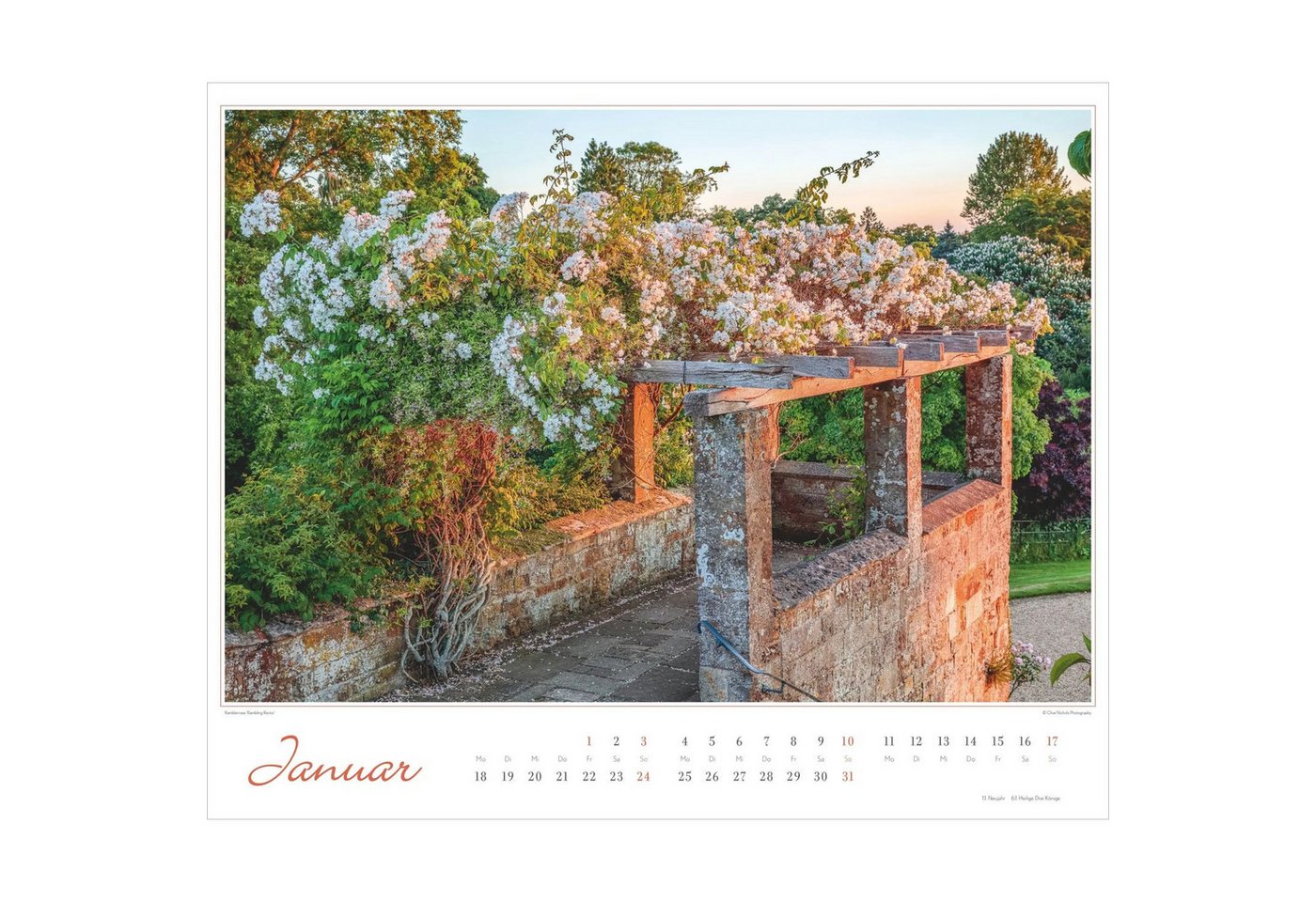 Wandkalender Im Rosengarten 2027 – Bild 2 von 5