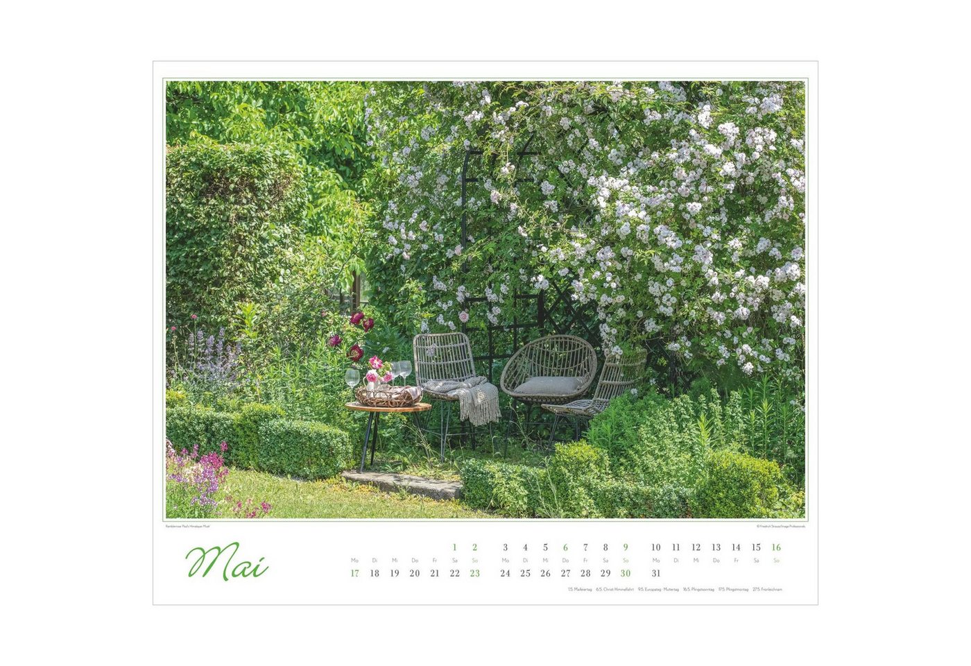 Wandkalender Im Rosengarten 2027 – Bild 4 von 5