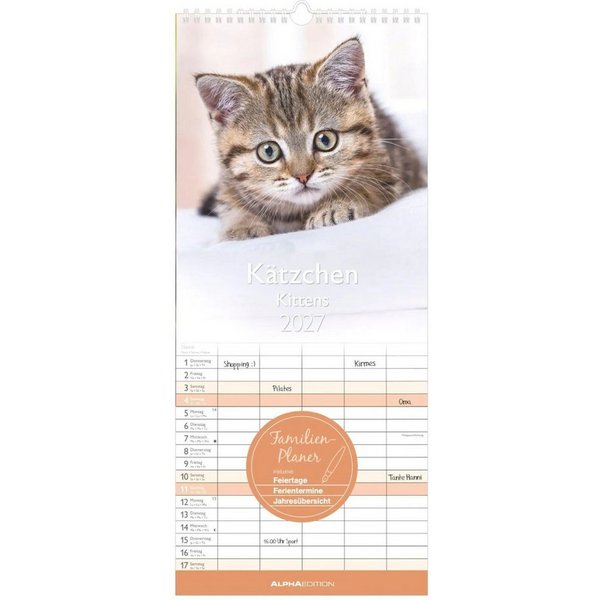 Wandkalender Kätzchen 2027
