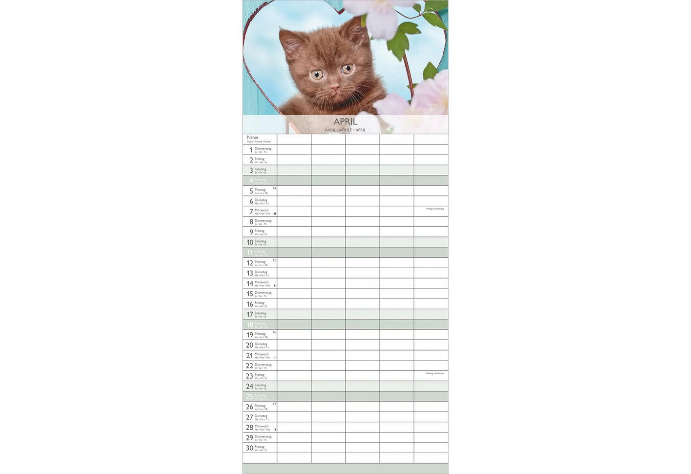 Wandkalender Kätzchen 2027 – Bild 3 von 5