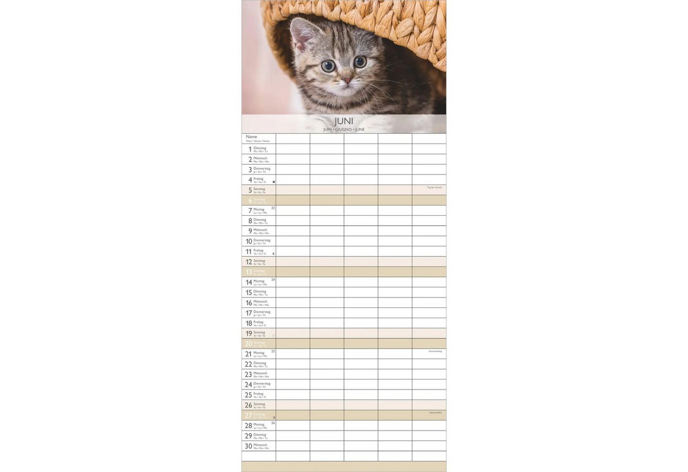 Wandkalender Kätzchen 2027 – Bild 4 von 5