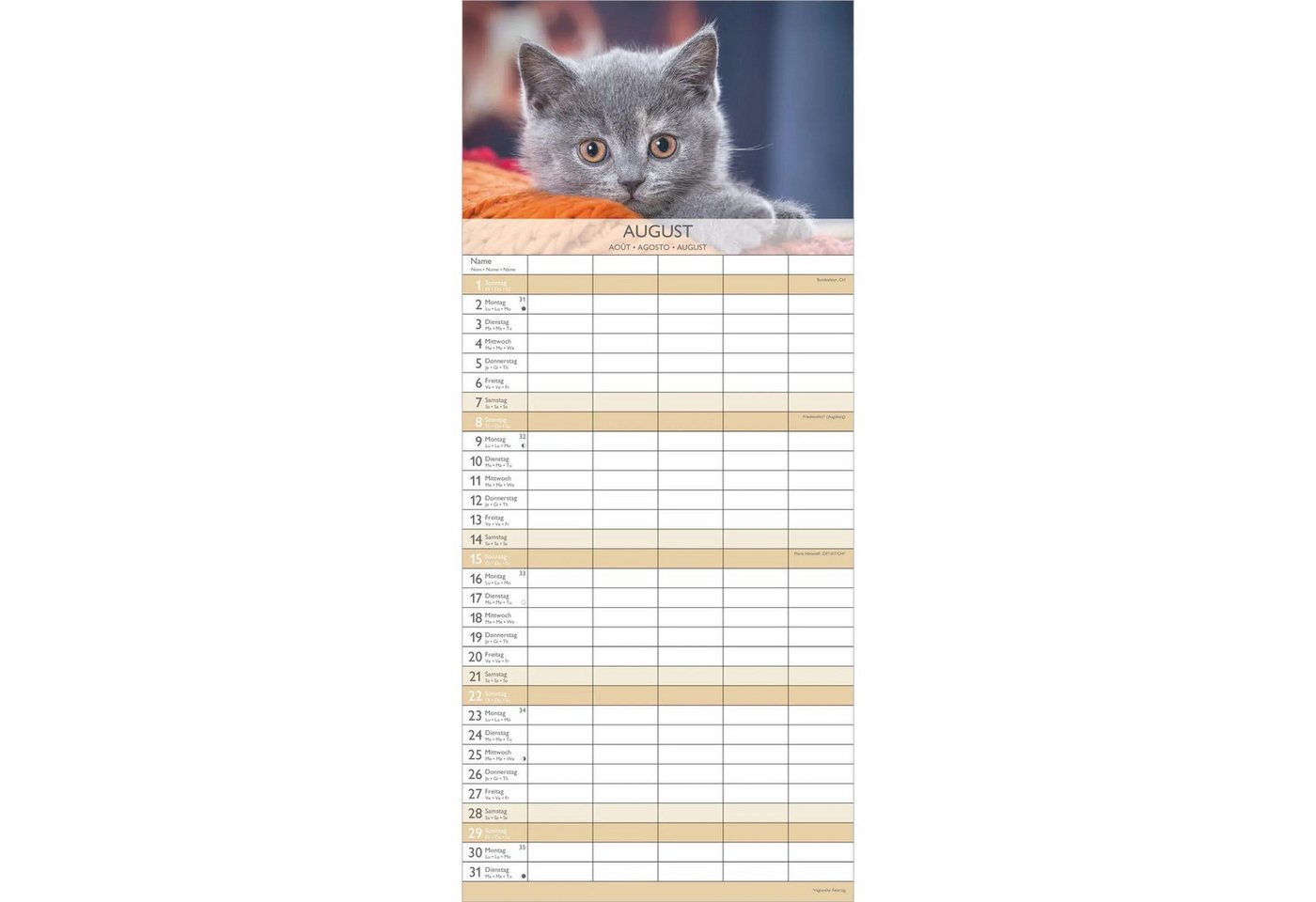 Wandkalender Kätzchen 2027 – Bild 5 von 5