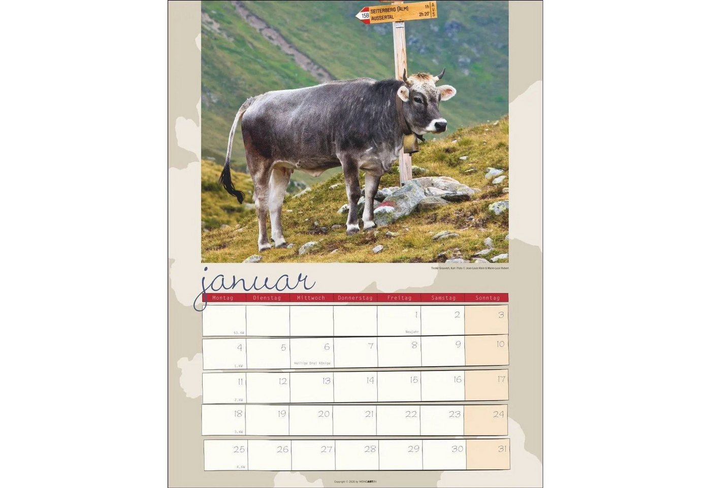 Wandkalender Kuh Kalender 2027 – Bild 3 von 5