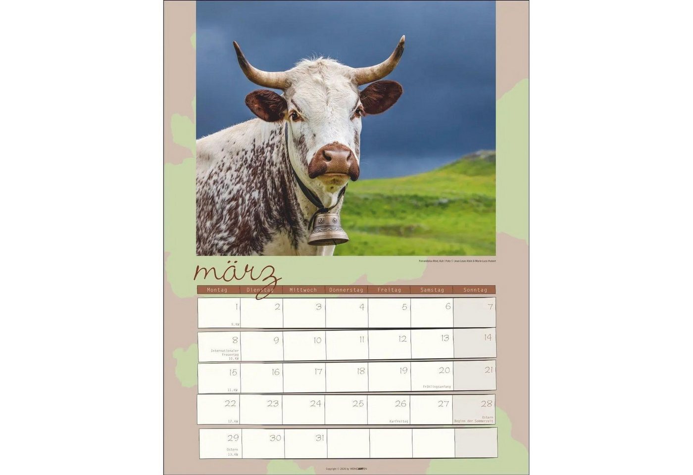 Wandkalender Kuh Kalender 2027 – Bild 5 von 5