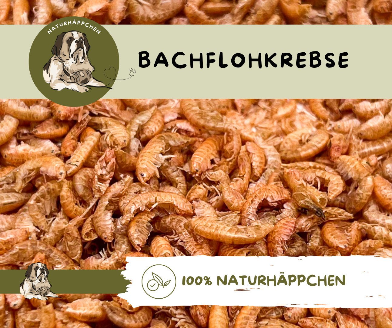 Warnick´s Tierfutterservice Bachflohkrebse "Gammarus" - Naturfutter für Fische & Reptilien, Ergänzungsfutter für: Fische, Reptilien – Bild 4 von 5