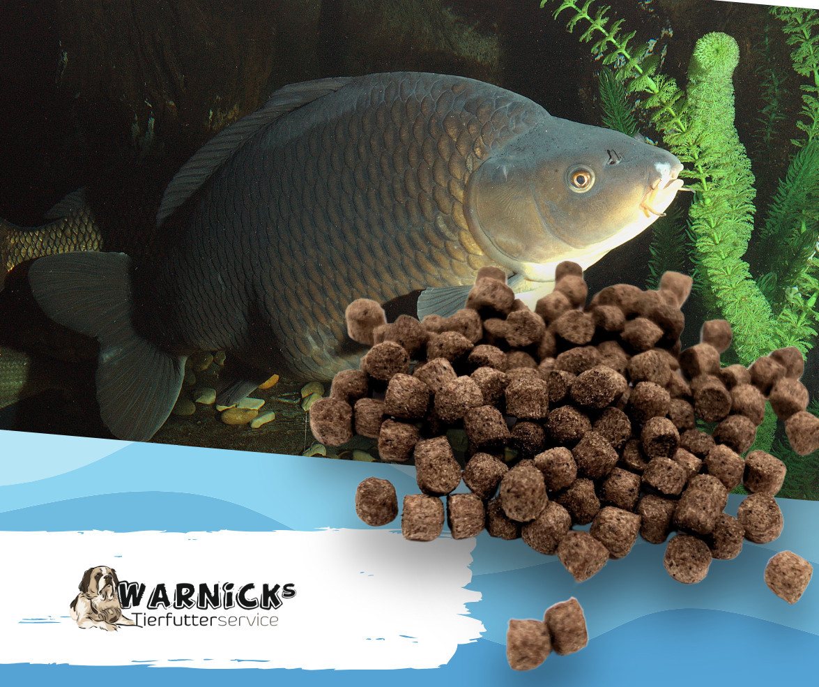 Warnick´s Tierfutterservice Karpfenfutter sinkend 6mm - extrudiertes Alleinfuttermittel, Hauptfutter für: Koi, größere Zier- & Teichfische, Karpfen – Bild 4 von 5
