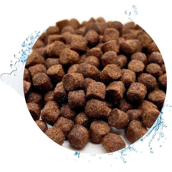 Warnick´s Tierfutterservice Koifutter Top Energy Plus - Leistungsfutter für Koi / Zierkarpfen 8mm, Hauptfutter für: Fische, Koi, Karpfen, Zierfische