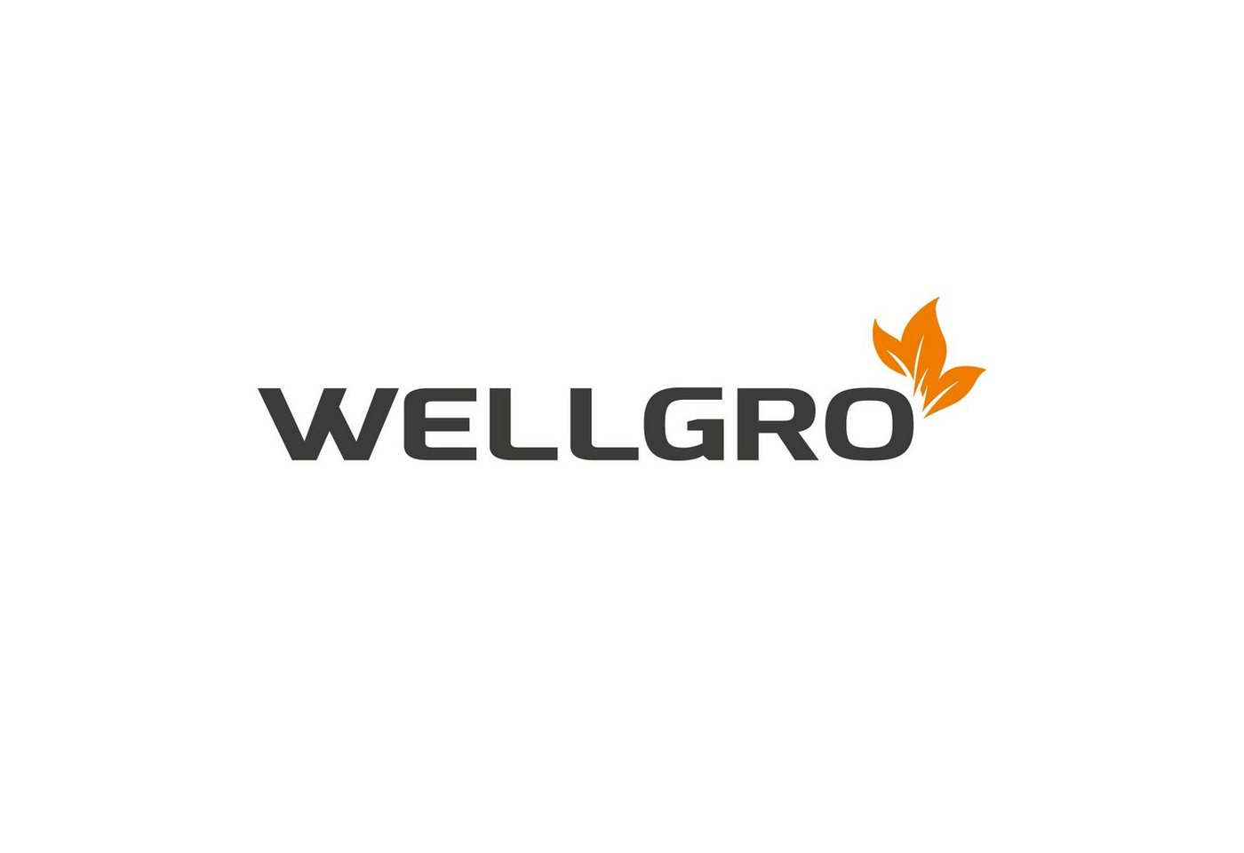 Wellgro Duschbrause Regendusche ABS-Kunststoff – Bild 5 von 5