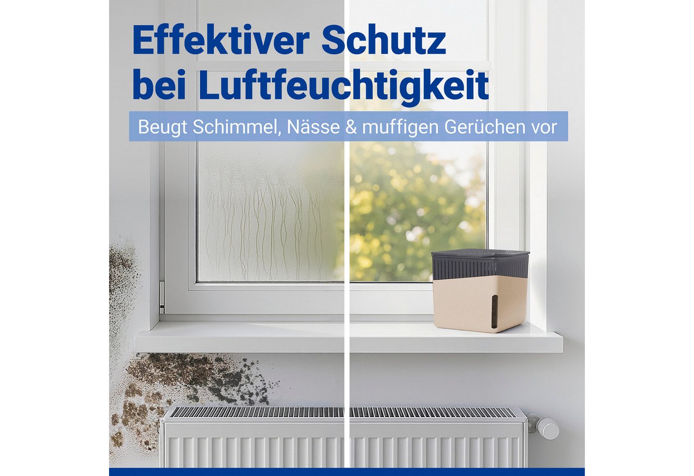 WENKO Luftentfeuchter Cube, für 80 m³ Räume, 2 x 1000g – Bild 2 von 5