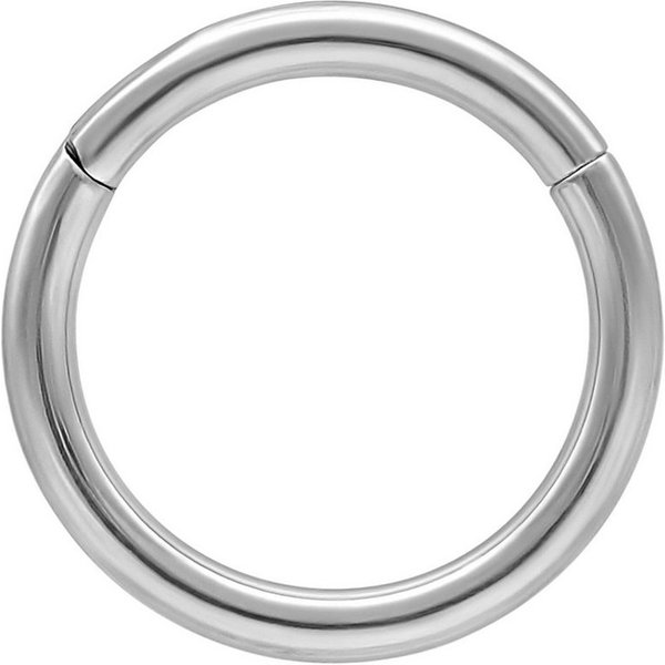 Wildcat Nasenpiercing Hinged Ring für Ohr, Nase, Lippe, Bauchnabel, 1 Stück, Titan Grad 23 - wasserfest, hautverträglich, Silber