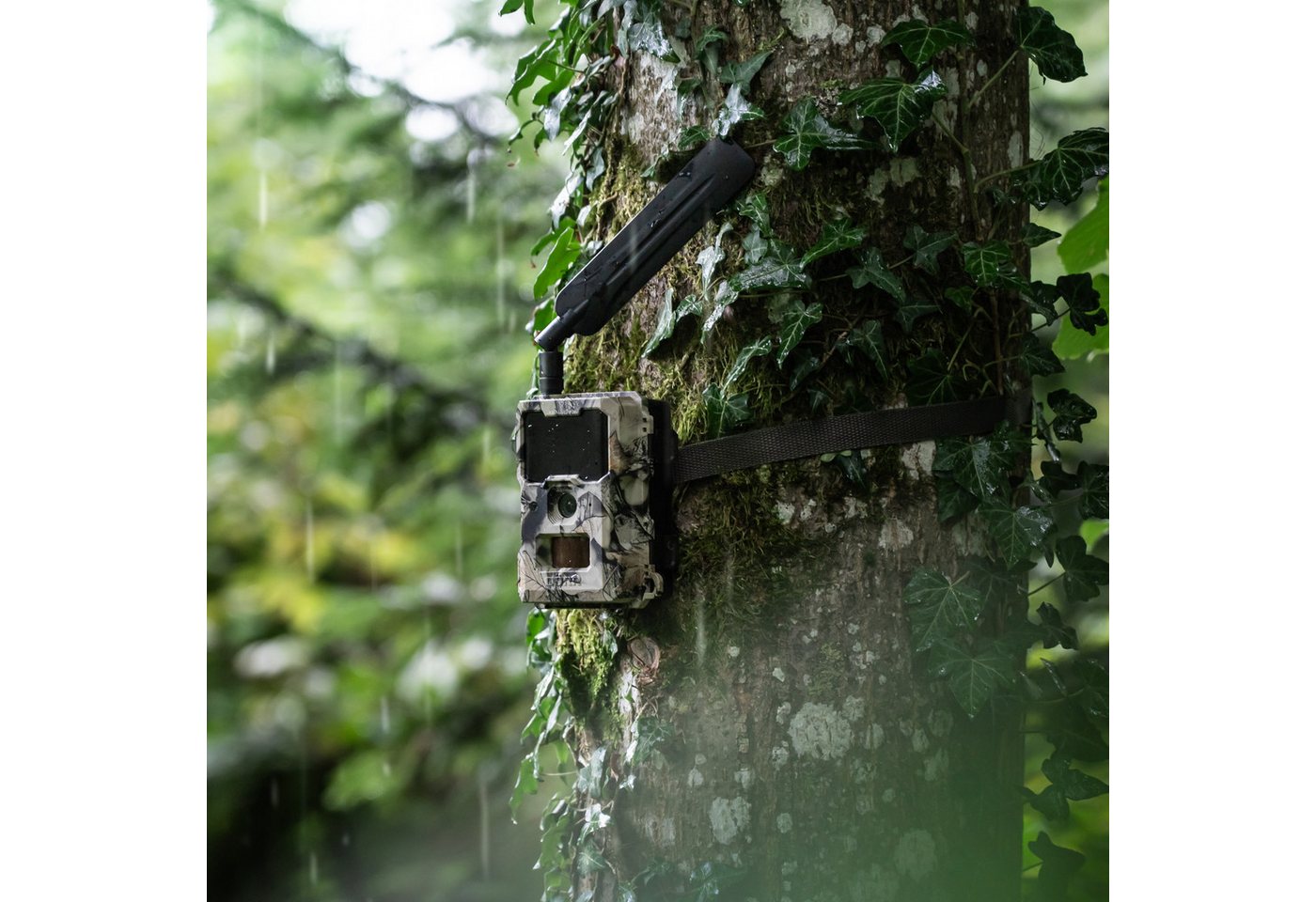 Dörr Wildkamera DÖRR Cloud Mini 4G/LTE Überwachungskamera, Simlockfrei, 12MP, Full HD (Außenbereich, Innenbereich, DÖRR App für iOS, Android & Web, 4G Bild-& Vi – Bild 3 von 5