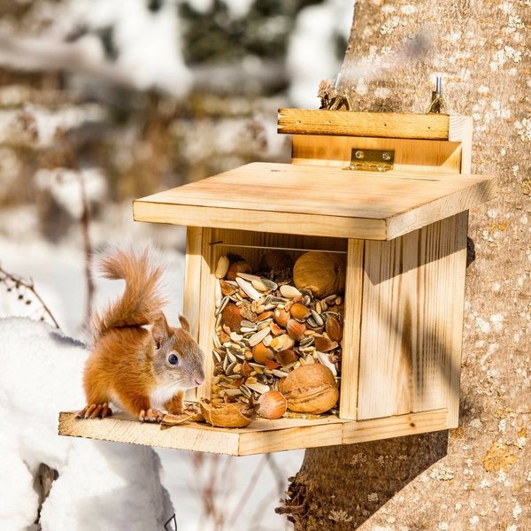 Windhager Futterhaus für Eichhörnchen mit klappbarem Boden, Überwinterungshilfe, Futterstation aus natürlichem Holz, Nussstation für Wildtiere
