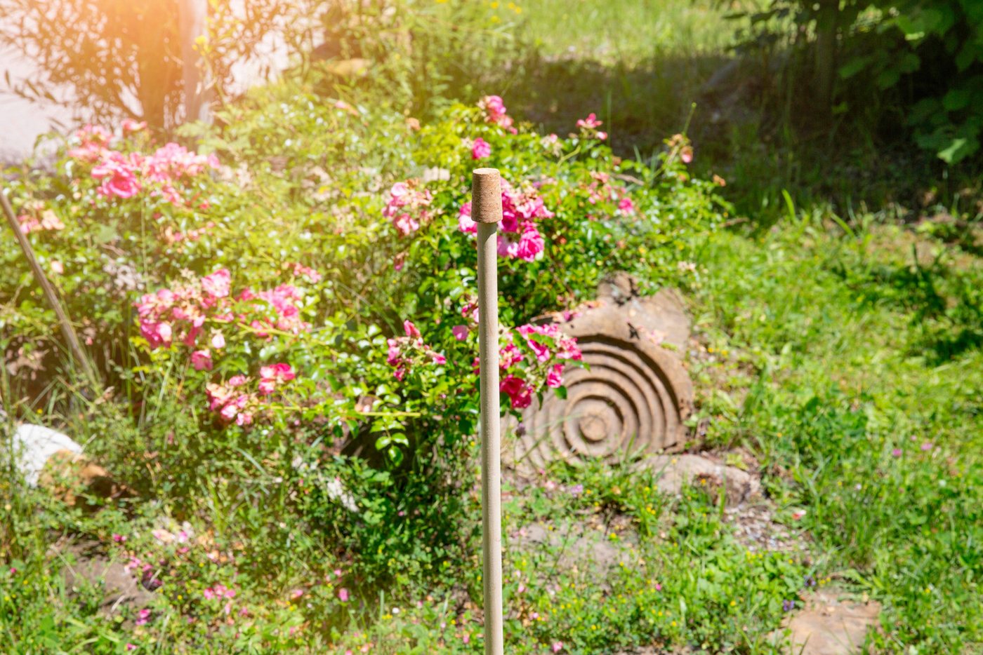 Windhager Gartenstecker für Außen, Rosenkugelstab zur Befestigung von Rosenkugeln (1-St) Gartendeko aus Holz, erhältlich in 100 cm Ø 16 mm oder 150 cm Ø 24 mm – Bild 2 von 2