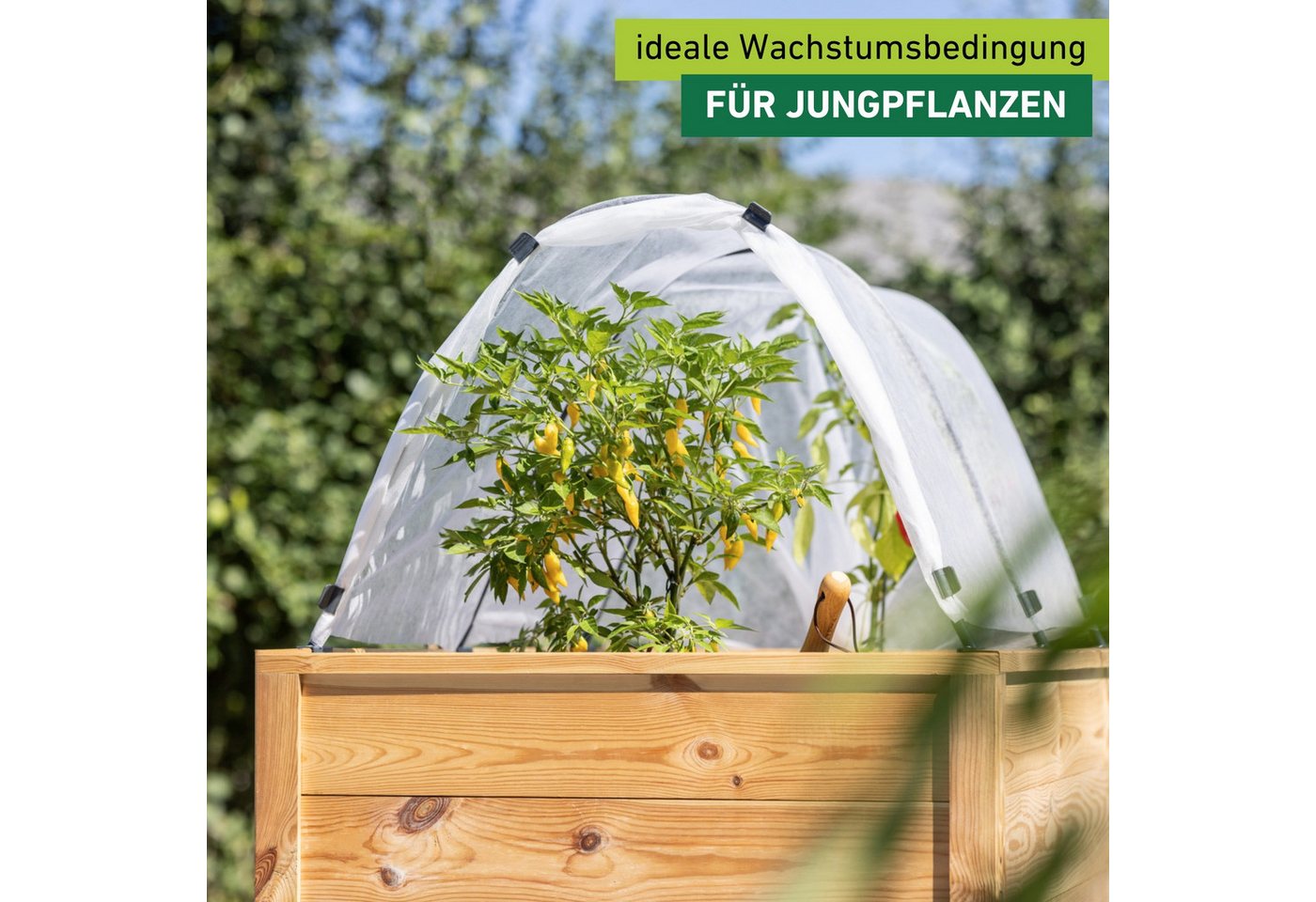 Windhager Hochbeet Tunnelbogen Komplettset, Insektenschutz und Wachstumsvlies (1 St), Pflanztunnel für Frühbeet, wachstumsfördernd, 4 x 2 m, weiß – Bild 3 von 5