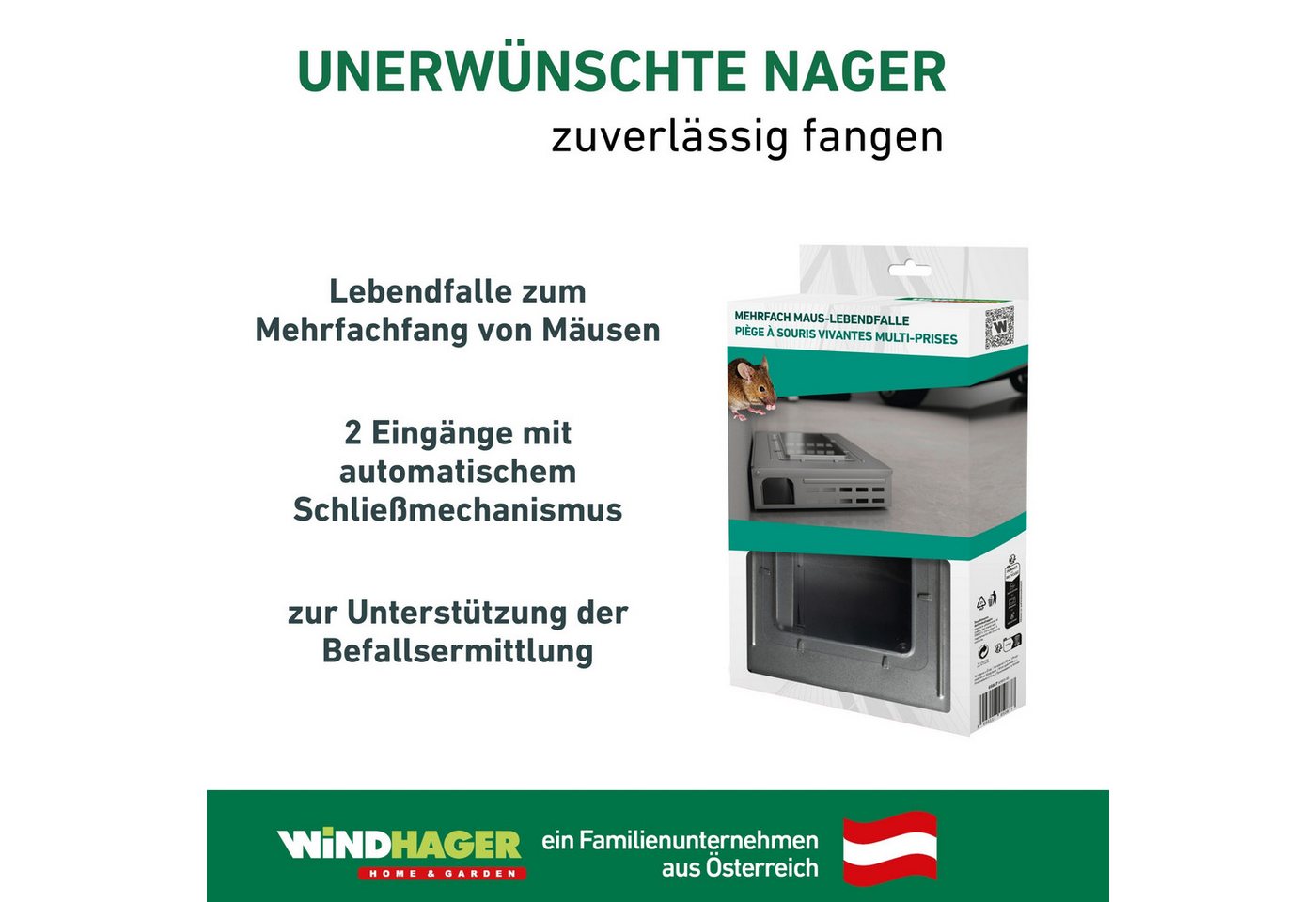 Windhager Lebendfalle Wiederverwendbare Mehrfachfang-Stahlfalle, langlebig und wiederverwendbar, Ideal für Vorrats- und Nebenräume – Bild 5 von 5
