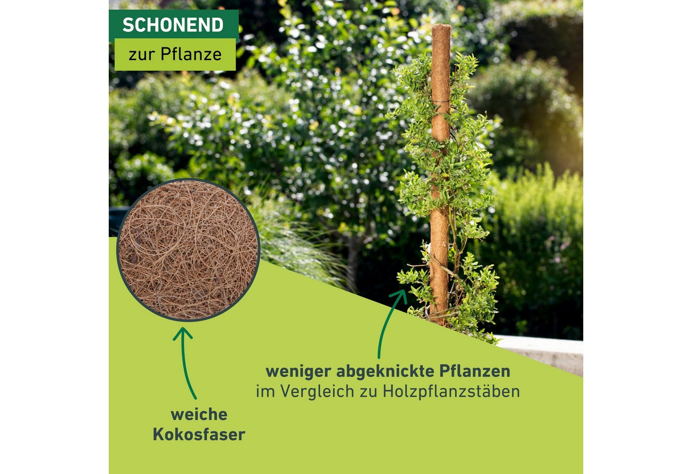 Windhager Rankhilfe aus Kokos, Pflanzstäbe verlängerbar, Ø 4,5 cm, Rankstab, 1 St., für hochwachsende Zimmerpflanzen, erhältlich in 60, 80 oder 110 cm – Bild 5 von 5