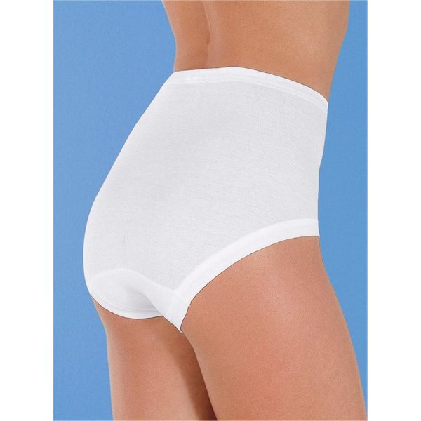 Witt Slip Taillenslip (5-St)