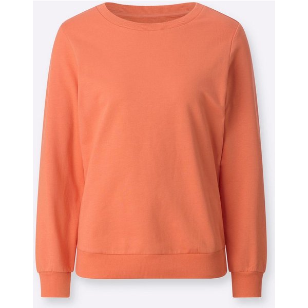 Witt Sweater Sweatshirt Langarm