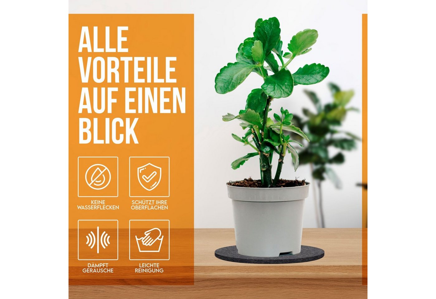 wortek Blumentopfuntersetzer Blumenuntersetzer Untersetzer rund für Vasen, Zubehör für Blumen oder Blumentöpfe & Co, Set, 6-tlg., Filz Unterlage Gläser Teller B – Bild 2 von 5