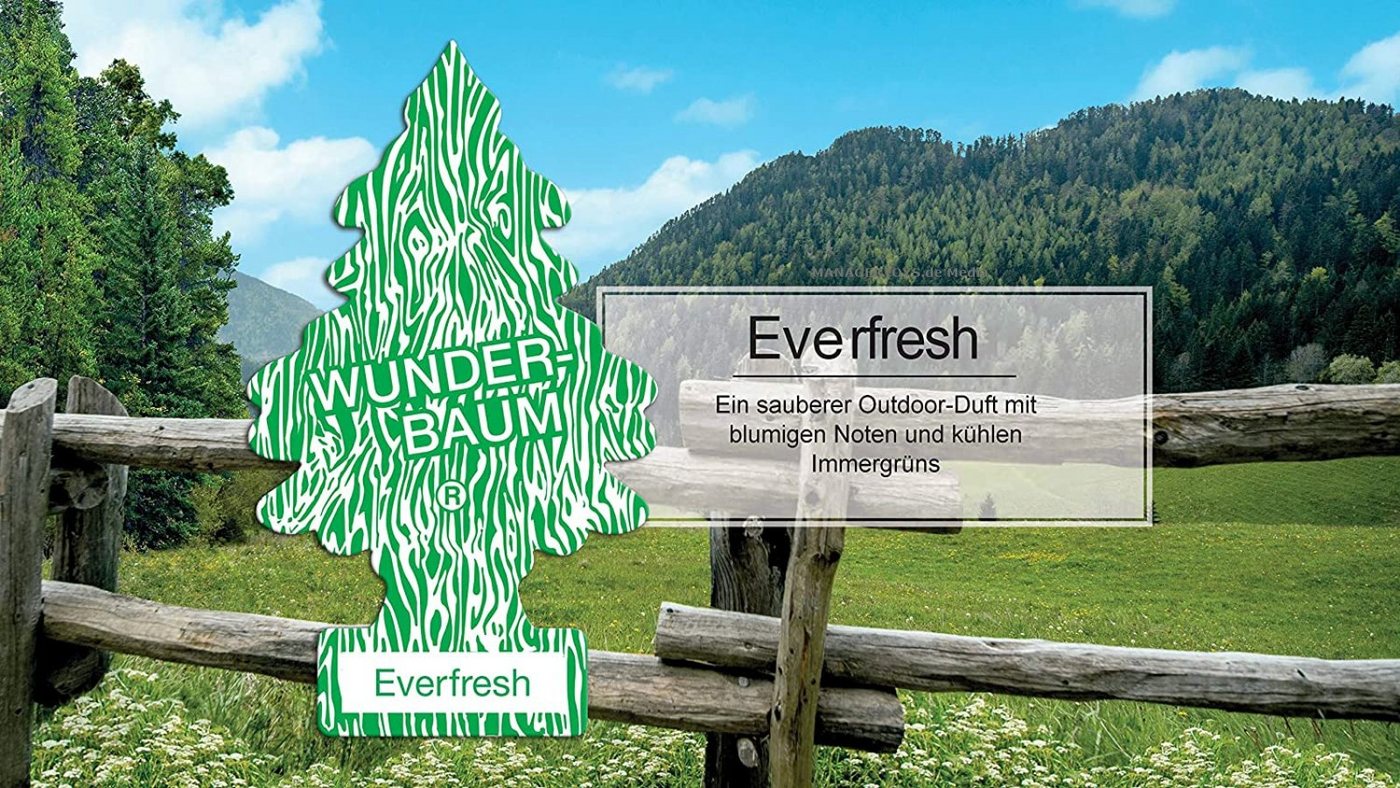 Wunder-Baum Hängedekoration Everfresh 3er Duftbäumchen Wunderbaum 3 Set Lufterfrischer – Bild 3 von 5