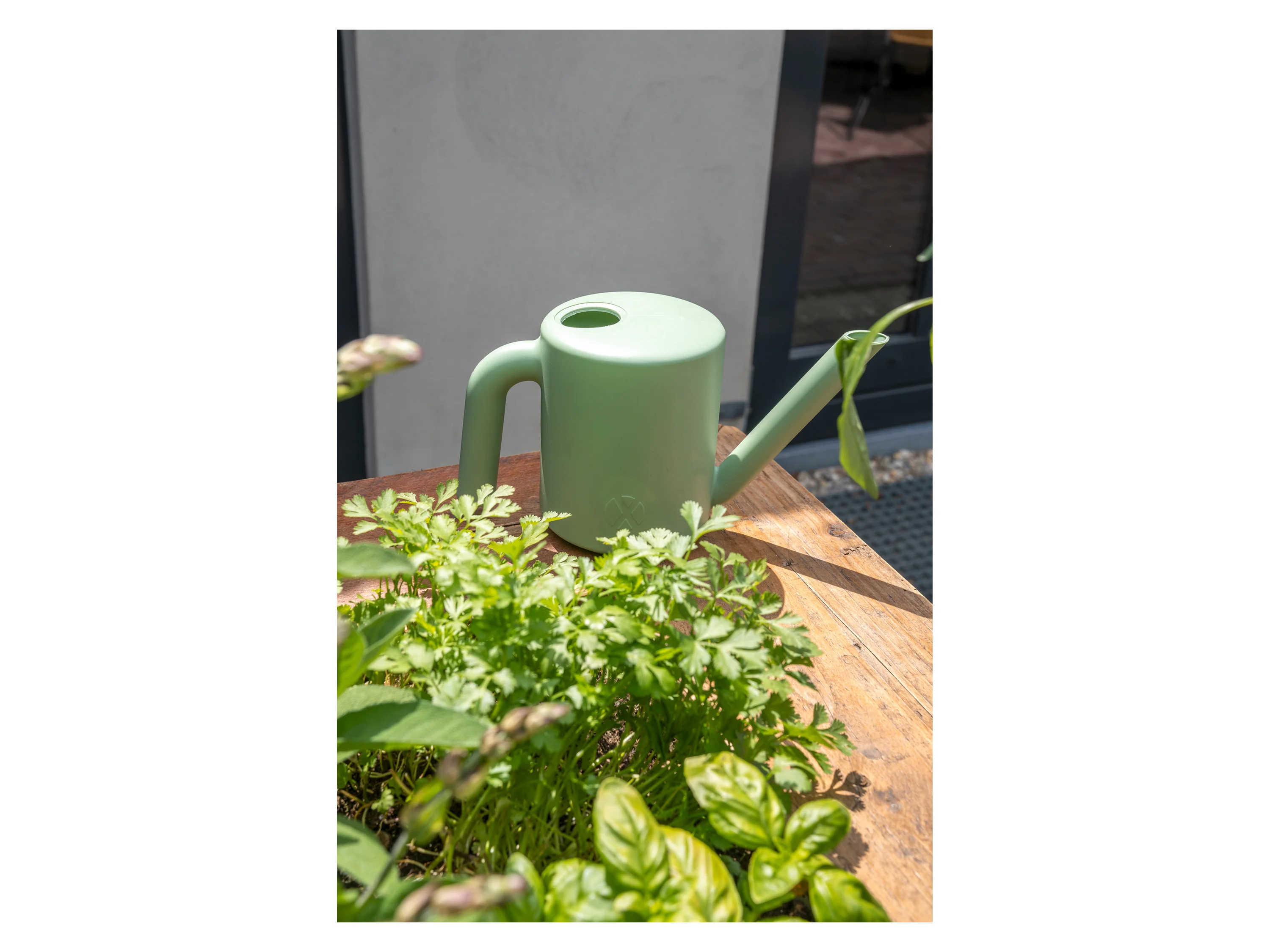 XALA Gieβkanne »Kappu«, 2 l (Grün) – Bild 2 von 2