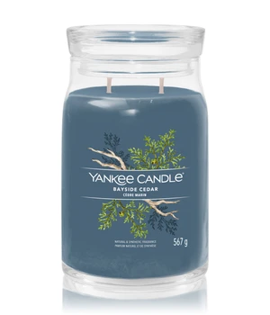 Yankee Candle Bayside Cedar Duftkerze · 567 g