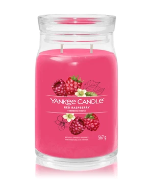 Yankee Candle Red Raspberry Duftkerze · 567 g