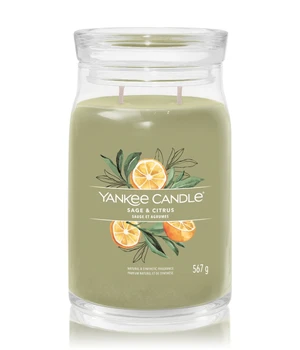 Yankee Candle Sage & Citrus Duftkerze · 567 g