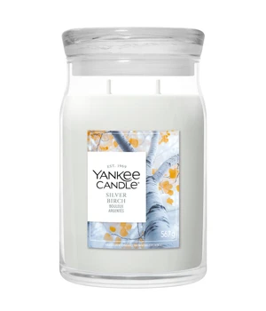 Yankee Candle Signature Grosses Glas Silver Birch Duftkerze · 567 g