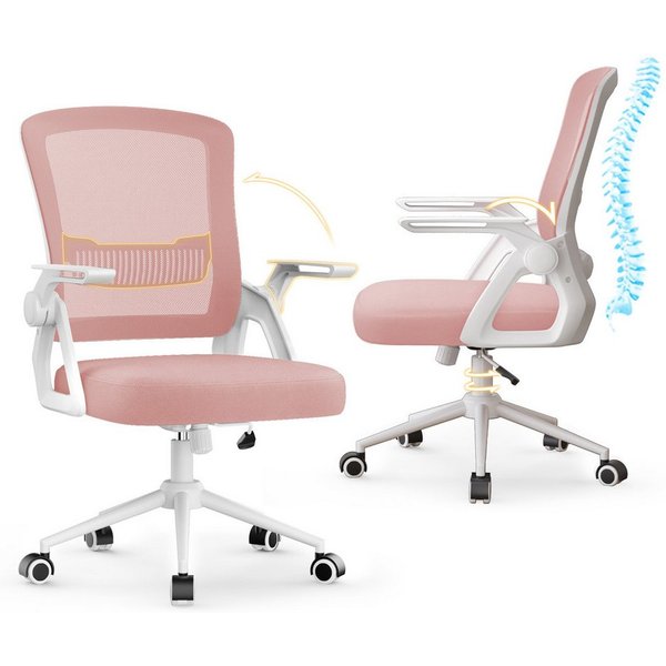 ZAISZE Bürostuhl Ergonomischer Bürostuhl mit Mesh-Rückenlehne und Lendenstütze (Verstellbarer Armlehnen, Atmungsaktiv, Höhenverstellbarer Schreibtischstuhl mit 